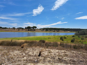 caminhada-santo-isidro-pegoes-caminhando