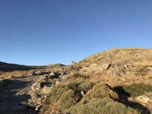 caminhada-serra-de-gredos-caminhando