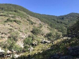 caminhada-valle-de-jerte-caminhando