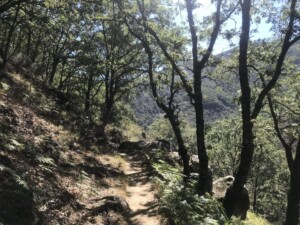 caminhada-valle-de-jerte-caminhando