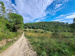 caminhada-trilho-dos-cágados-vila-chã-de-ourique-caminhando