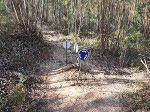 caminhada-trilho-dos-cágados-vila-chã-de-ourique-caminhando