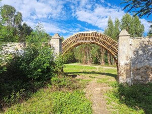 caminhada-trilho-dos-cágados-vila-chã-de-ourique-caminhando