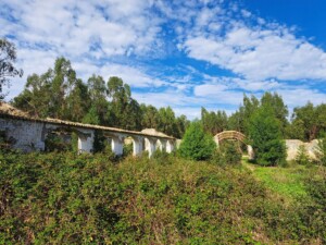 caminhada-trilho-dos-cágados-vila-chã-de-ourique-caminhando