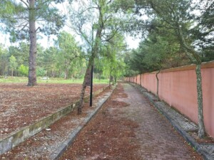 caminhada-trilho-dos-cágados-vila-chã-de-ourique-caminhando