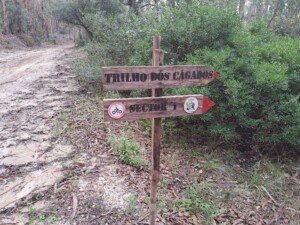 caminhada-trilho-dos-cágados-vila-chã-de-ourique-caminhando