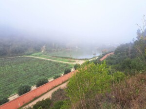 caminhada-trilho-dos-cágados-vila-chã-de-ourique-caminhando
