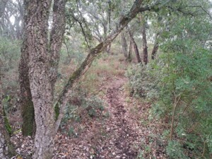 caminhada-trilho-dos-cágados-vila-chã-de-ourique-caminhando