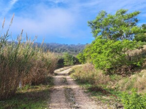 caminhada-trilho-dos-cágados-vila-chã-de-ourique-caminhando