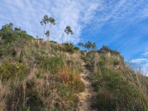 caminhada-trilho-dos-cágados-vila-chã-de-ourique-caminhando