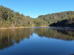 caminhada-serra-sintra-barragem-mula-caminhando