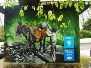 caminhada-fontes-caneças-caminhando