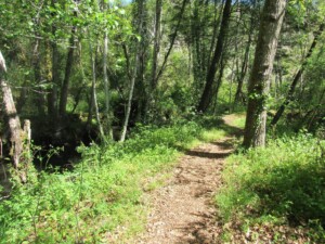 caminhada-trilho-gaios-tabua-caminhando
