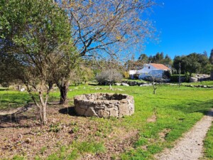 caminhada-cesaredas-reguengo-grande-caminhando