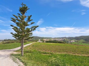 caminhada-moledo-cezaredas-caminhando