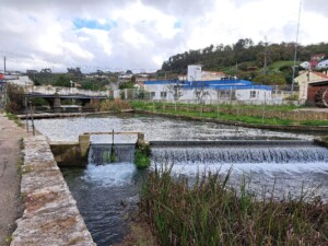 caminhada-ribeira-mogo-aljubarrota-alcobaca-caminhando
