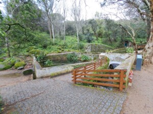 caminhada-caldas-monchique-caminhando