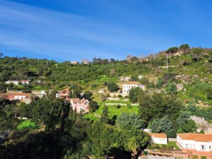 caminhada-serra-monchique-caminhando