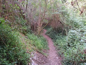 caminhada-tomar-agroal-caminhando