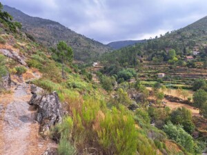 caminhada-pontes-cortes-meio-piscinas-naturais-caminhando