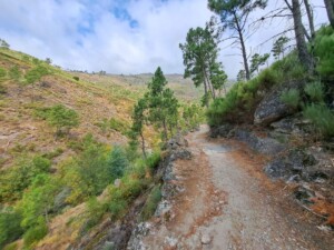 caminhada-pontes-cortes-meio-piscinas-naturais-caminhando