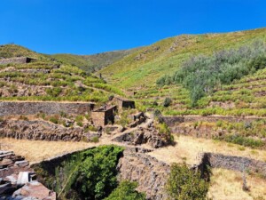 caminhada-sobral-sao-miguel-caminhando