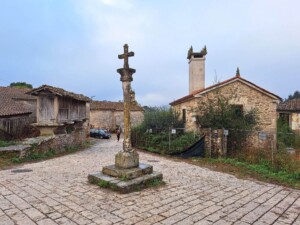 caminho-frances-santiago-palas-reis-caminhando