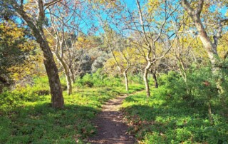 passeio-maritimo-vale-jamor-caminhando