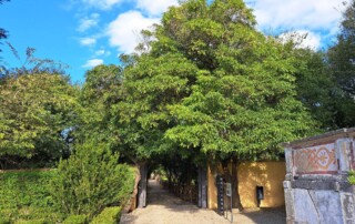 passeio-quinta-real-caxias-caminhando