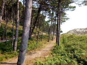 caminhada-ilhas-cies-vigo-caminhando