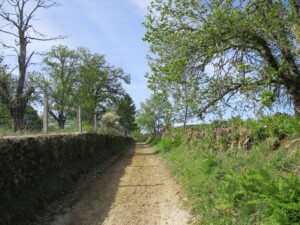 caminhada-nascentes-coa-sabugal-caminhando