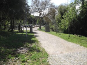 caminhada-mata-belas-caminhando