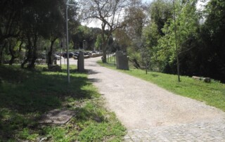caminhada-mata-belas-caminhando