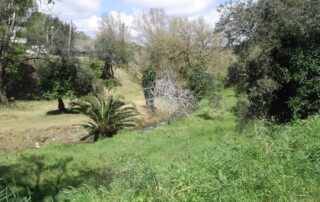 caminhada-mata-belas-caminhando