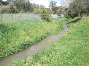 caminhada-mata-belas-caminhando