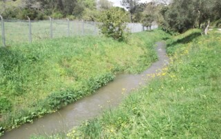 caminhada-mata-belas-caminhando