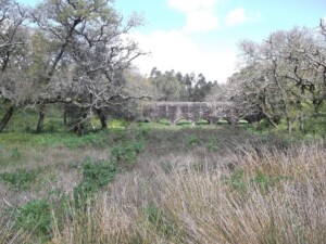 caminhada-mata-belas-caminhando