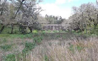 caminhada-mata-belas-caminhando