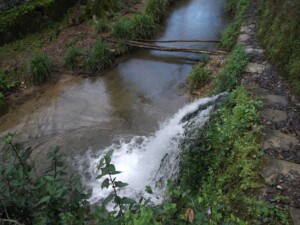 caminhada-mata-belas-caminhando