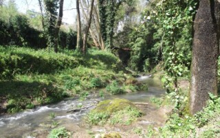 caminhada-mata-belas-caminhando