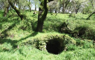caminhada-mata-belas-caminhando