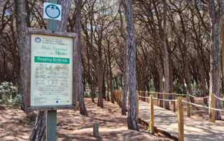 caminhada-passadicos-mata-medos-caminhando