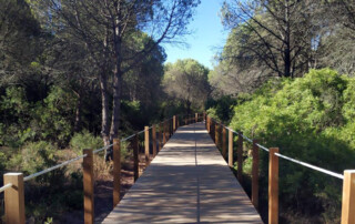 caminhada-passadicos-mata-medos-caminhando