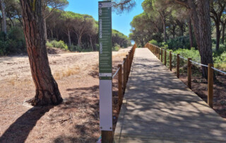 caminhada-passadicos-mata-medos-caminhando