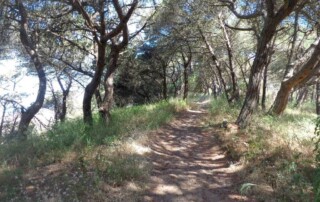 caminhada_costa_caparica_caminhando