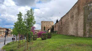 caminhando toledo muralhas
