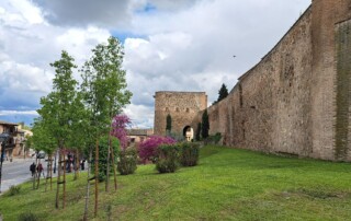 caminhando toledo muralhas