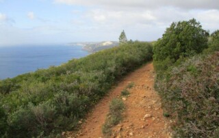 caminhada-arrabida-terras-do-risco-setubal-caminhando