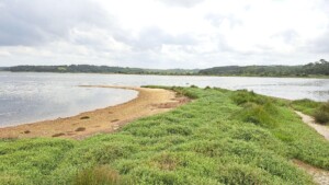 caminhada-lagoa-obidos-caminhando
