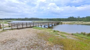 caminhada-lagoa-obidos-caminhando